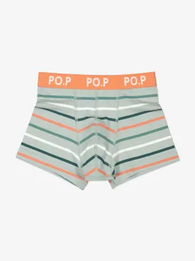 Boys Striped Boxer Shorts