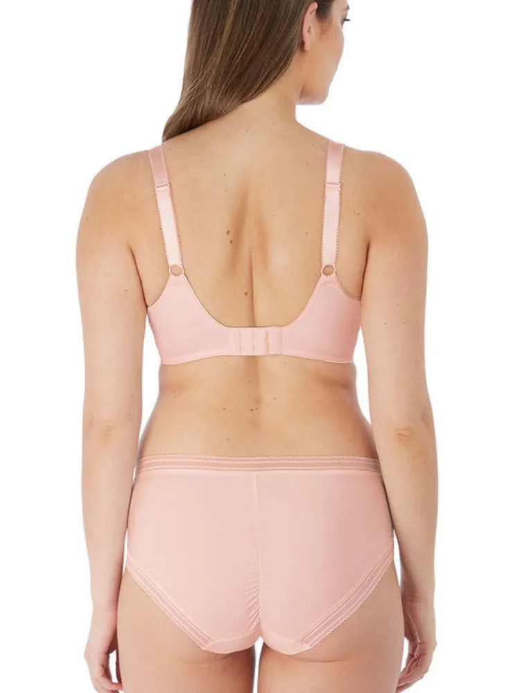 Fusion Brief
