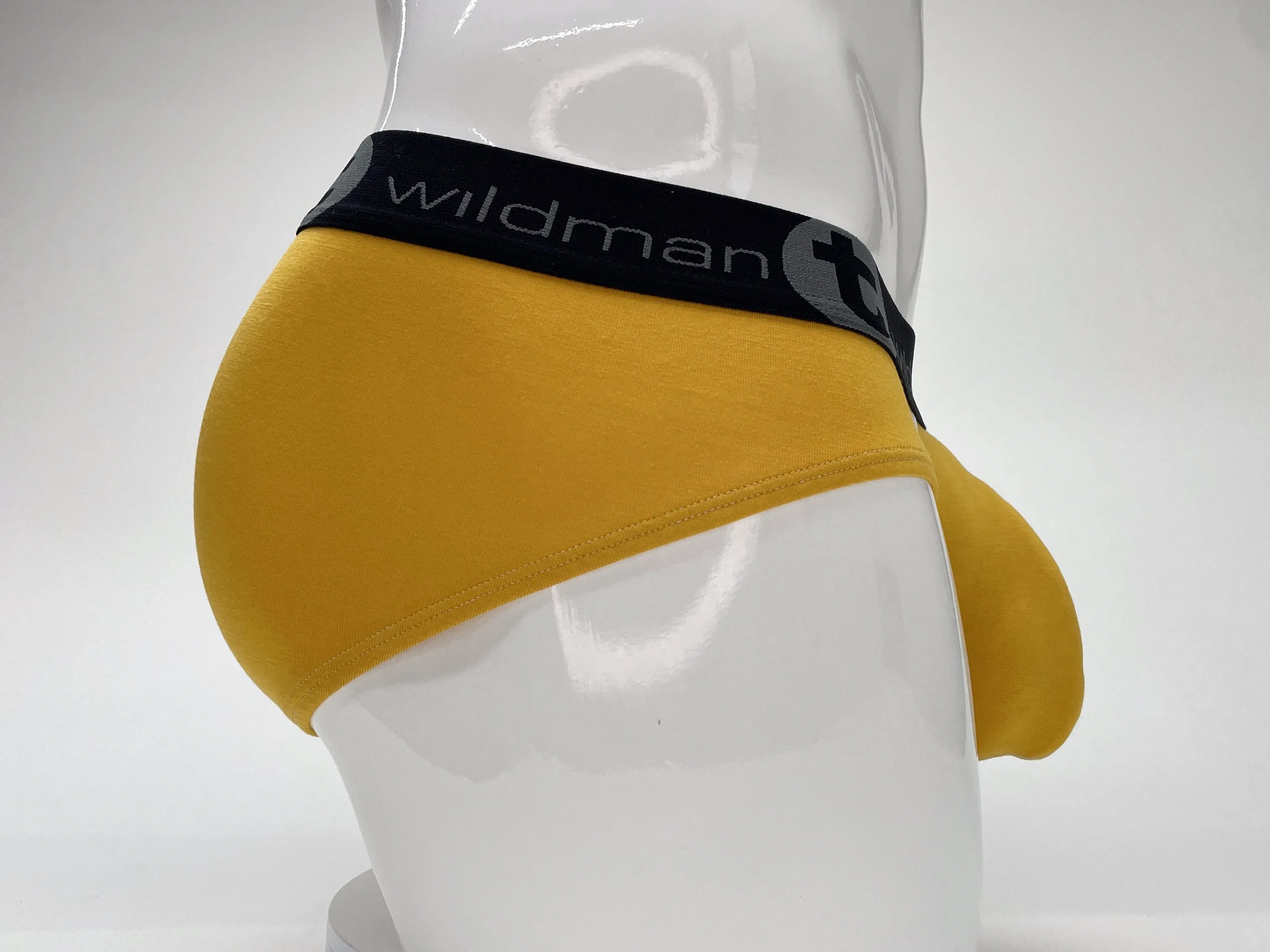 WildmanT Modal Big Boy Pouch Brief Gold